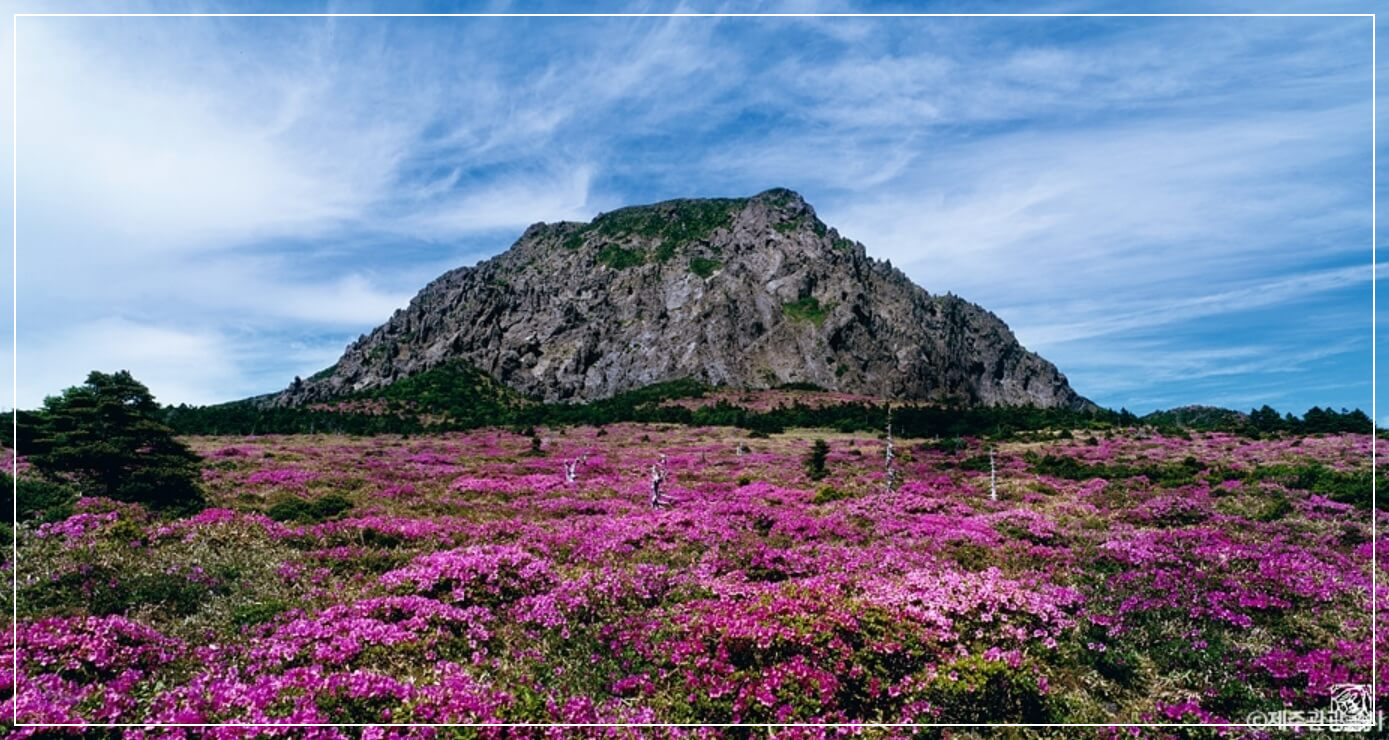 제주도 가볼만한곳 베스트10 한라산 국립공원