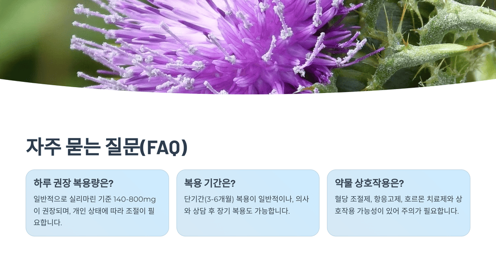 자주 묻는 질문(FAQ)