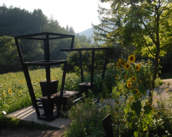 태백 해바라기 축제_14