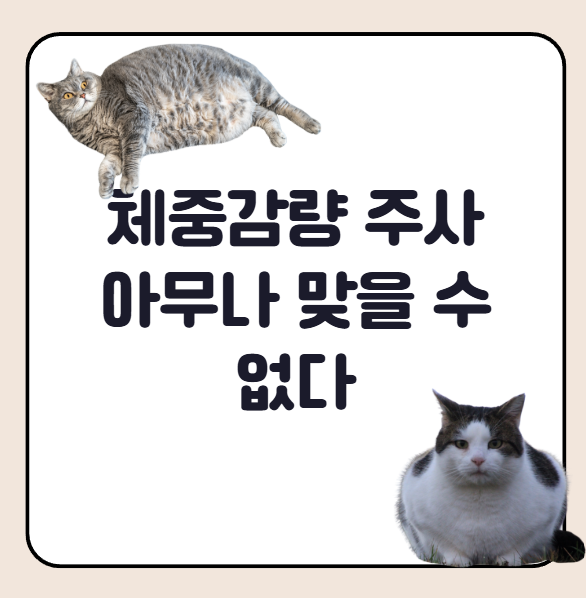 체중감량 주사제 아무나 구할 수 없다