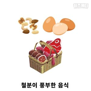 노인 빈혈 원인 관리