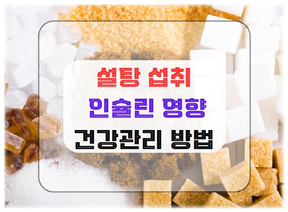 설탕 섭취가 인슐린에 미치는 영향과 건강 관리 방법