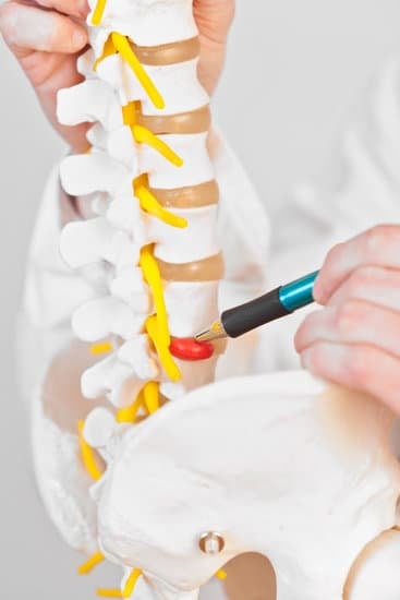 디스크(요추 추간판 탈출증) – 허리 통증과 다리 저림, 신경 압박의 신호