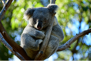 3월 해외 여행 추천 TOP5