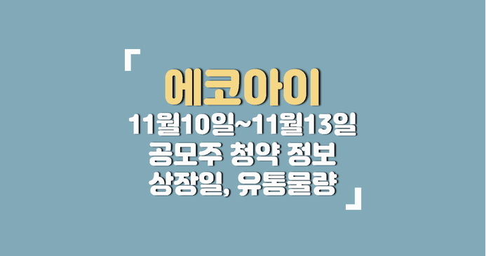 에코아이(EchoEye)