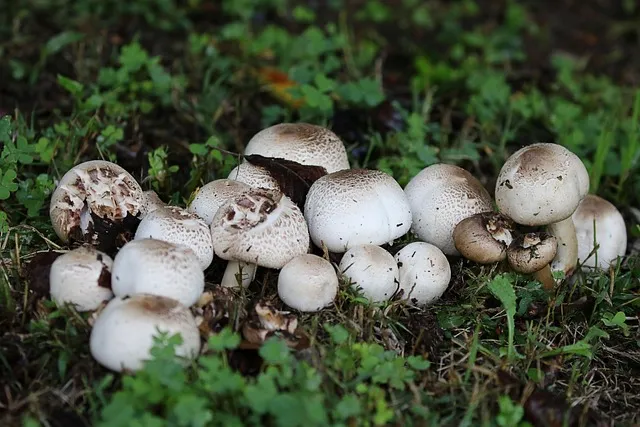 제습기 선물 제습량 연속배수 소비전력 장마철 실사용 후기 비교_7