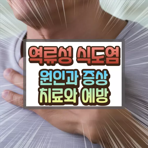 역류성 식도염에 대하여