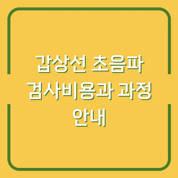 갑상선 초음파 검사비용과 과정 안내
