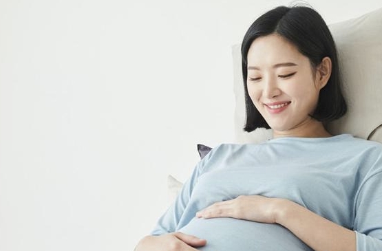 임산부 교통비 지원