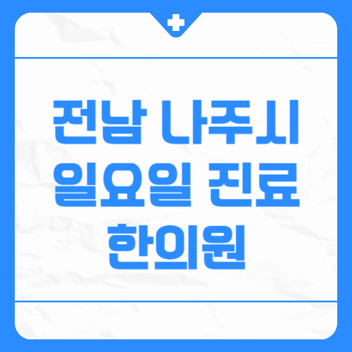 전남 나주시 일요일 진료 한의원