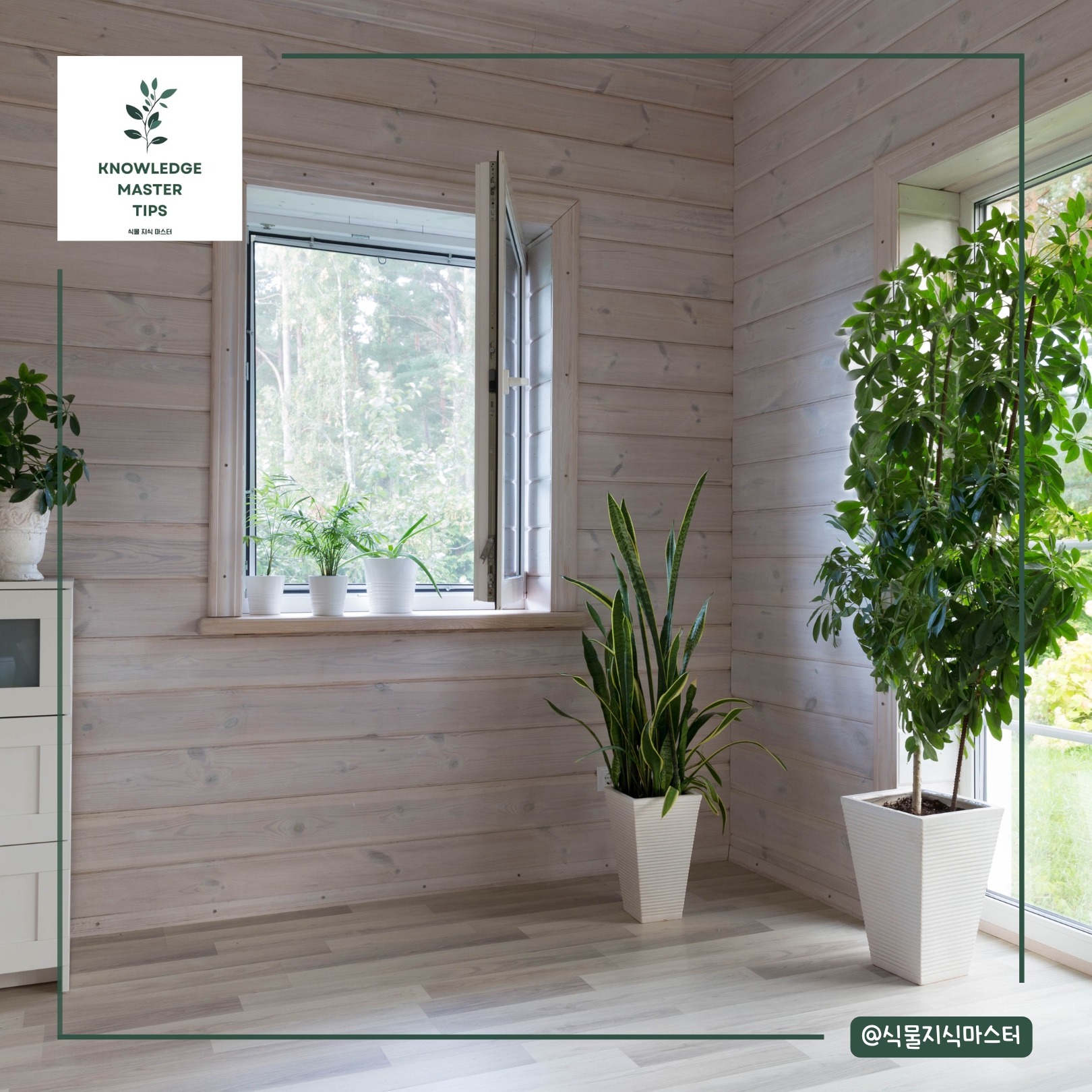 통풍 부족: 식물도 숨을 쉬어야 해요