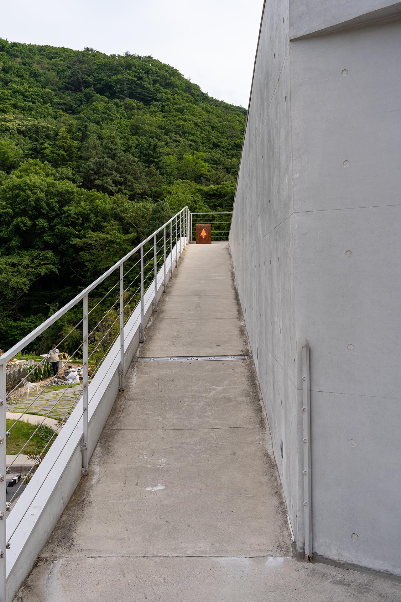 헤이든 신씨어 루프탑