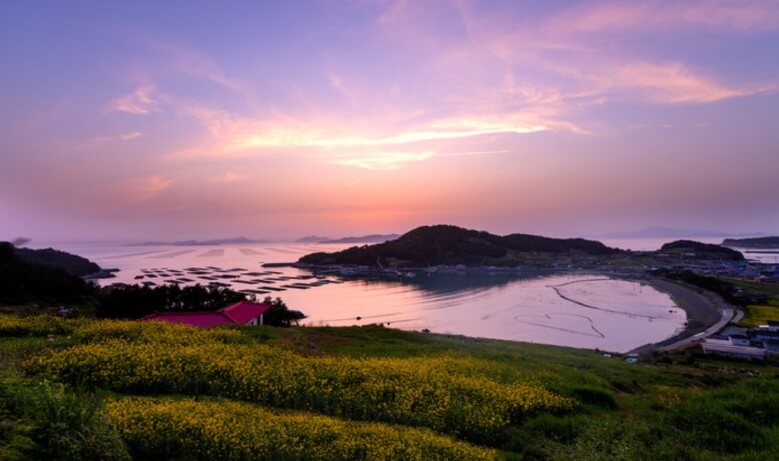 청산도 - 배편 예약