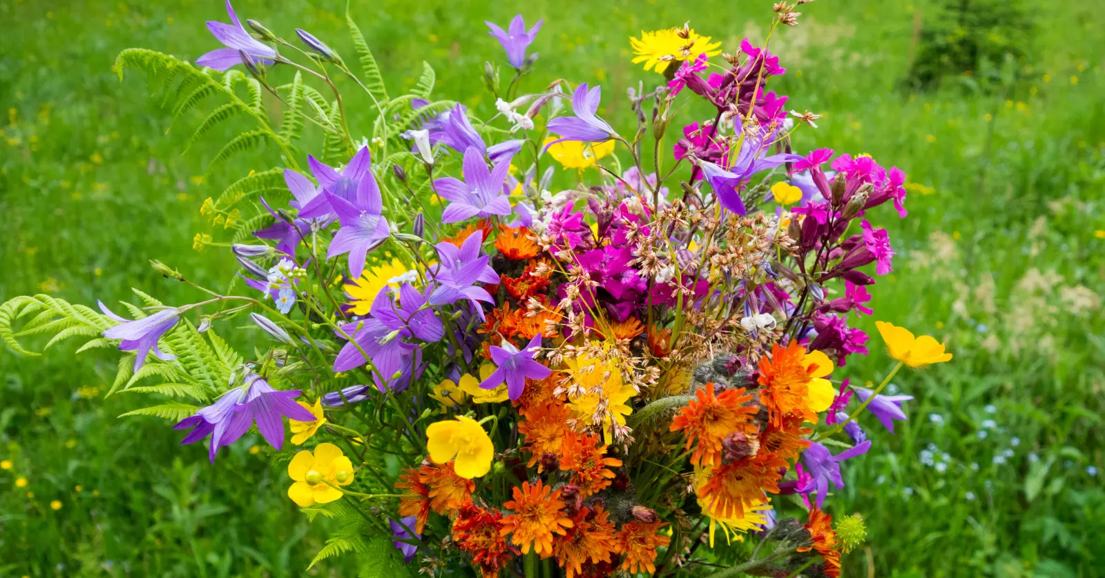 곰배령 방문 시 유의사항