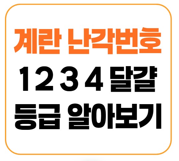 계란 난각번호 1·2·3·4 의미와 품질·영양성분과의 관계 정리