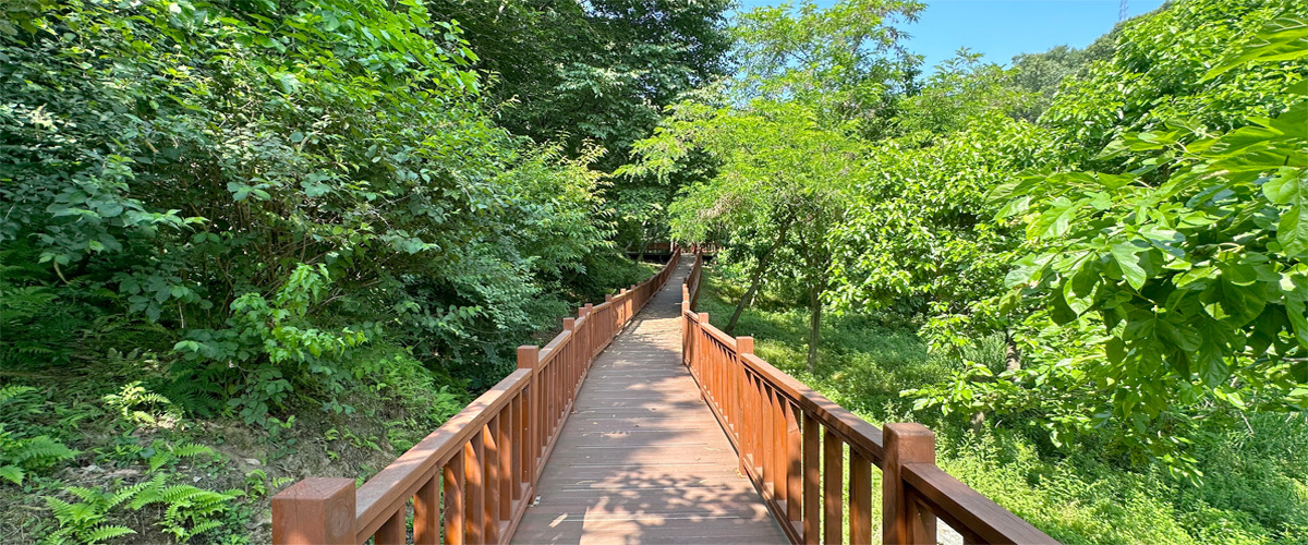 충북 진천 치유의 숲, 꼭 가야 하는 6가지 이유!