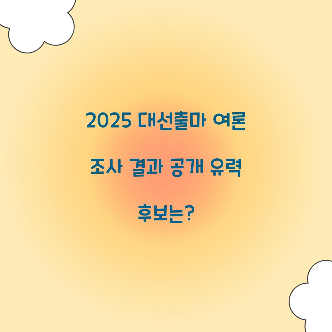 2025 대선출마