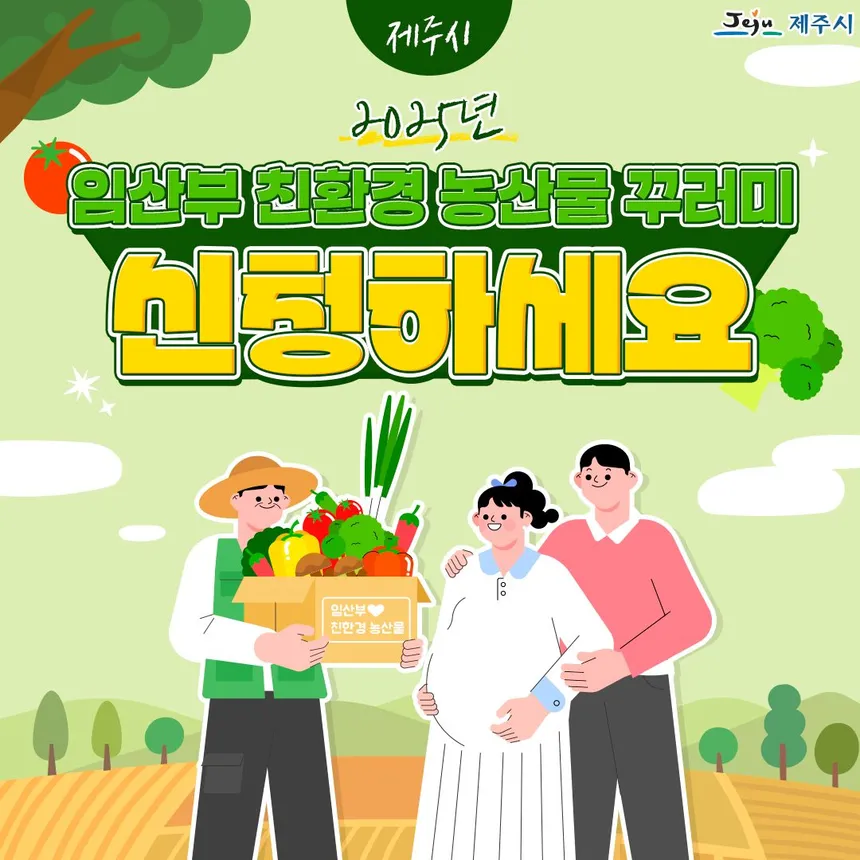 따뜻한 제주 가정집 주방에 놓인 유기농 채소 꾸러미, 산뜻한 자연광 속에 담긴 건강한 식생활의 시작