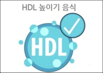 HDL 높이기 음식