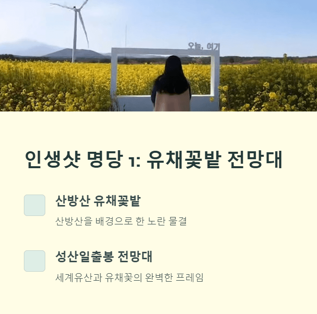 유채꽃밭 전망대 명당 소개와 산방산 유채꽃밭 사진.