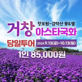 국내 여행사 10순위 믿을 수 있는 여행 파트너 찾기 완벽 가이드_23