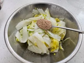배추나물 무침 만들기 황금레시피_7