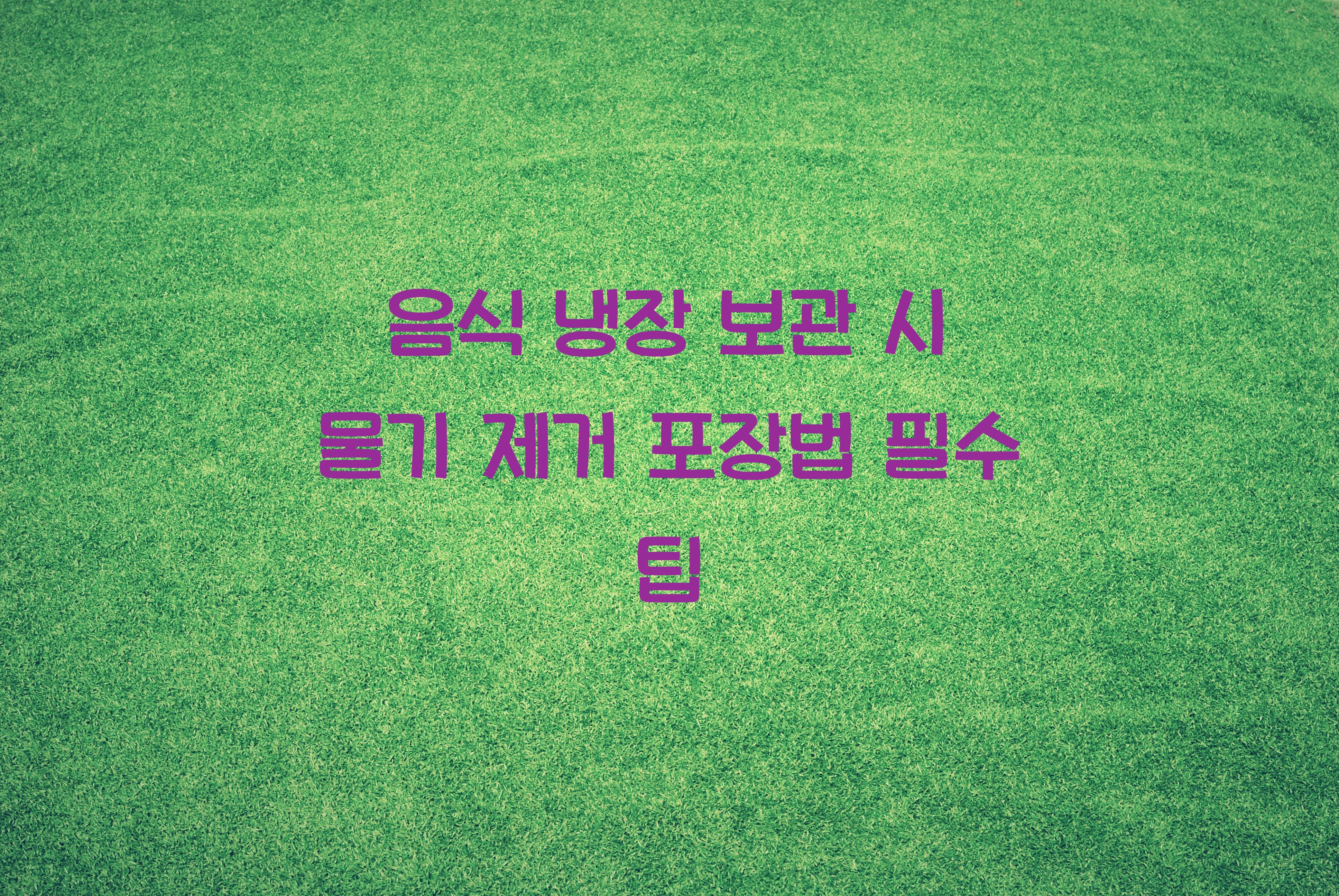 음식 냉장 보관 시 물기 제거하는 포장법