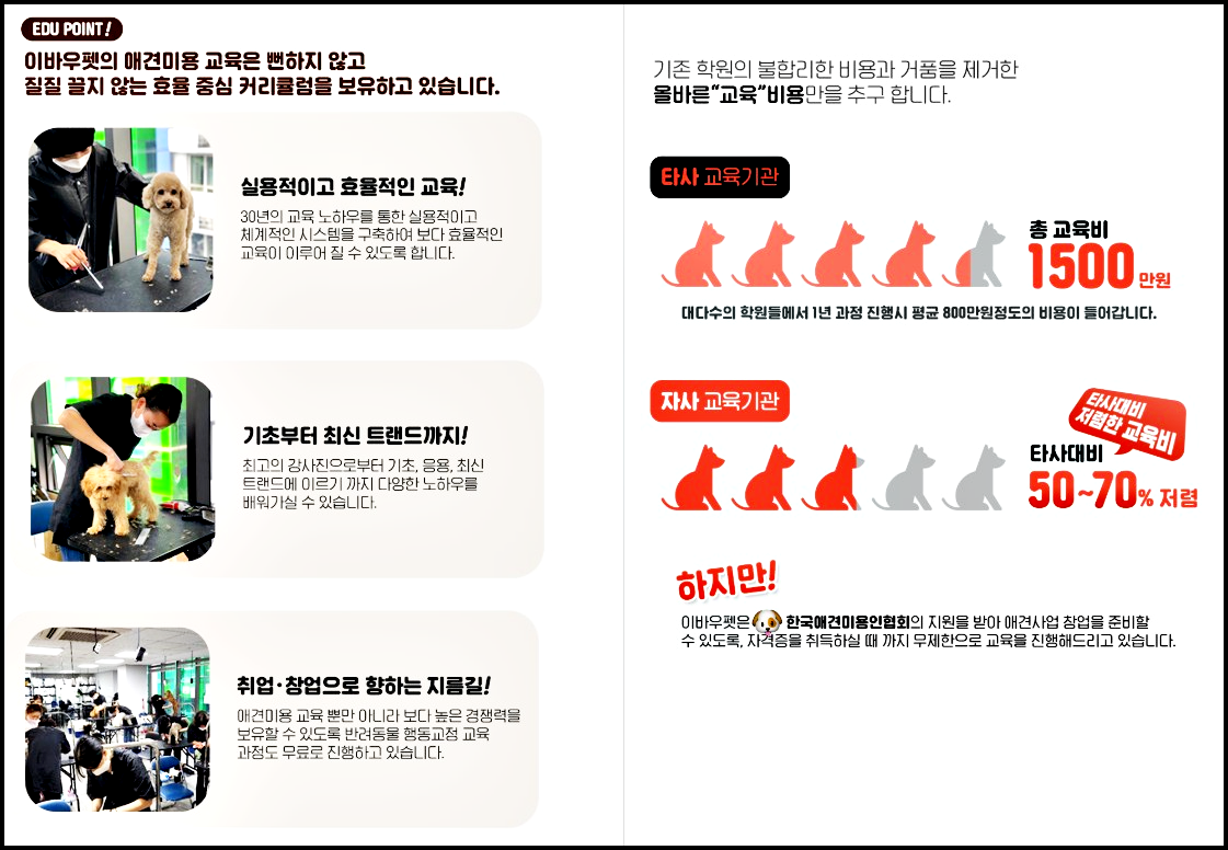 광주강아지미용추천
