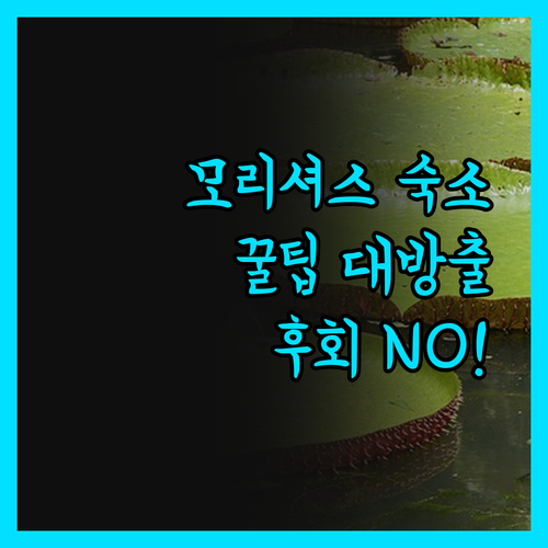 모리셔스 여행 숙소, 이것만 알고 가