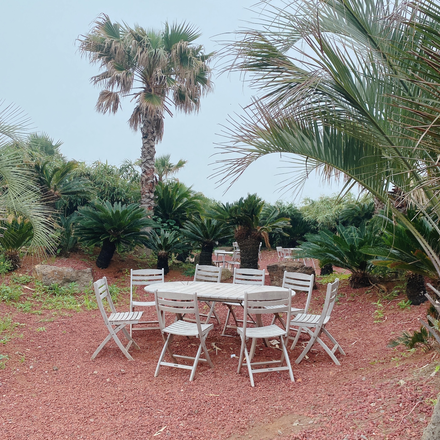 제주 서귀포 대정 서림연대 인스밀 곡물창고 개조카페 in's mill 보리개역 보리 청보리 제주 특산물