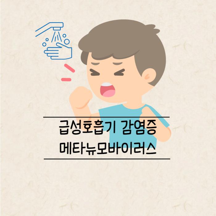 급성호흡기 감염증-메타뉴모바이러스