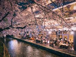 숙박세일페스타