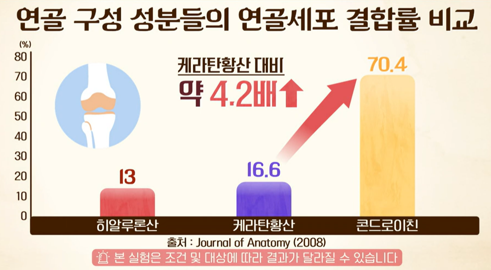 콘드로이친 효능