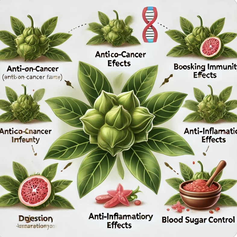 그라비올라잎 효능: 자연의 건강 비법