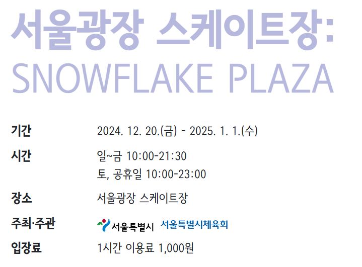 서울광장 스케이트장2