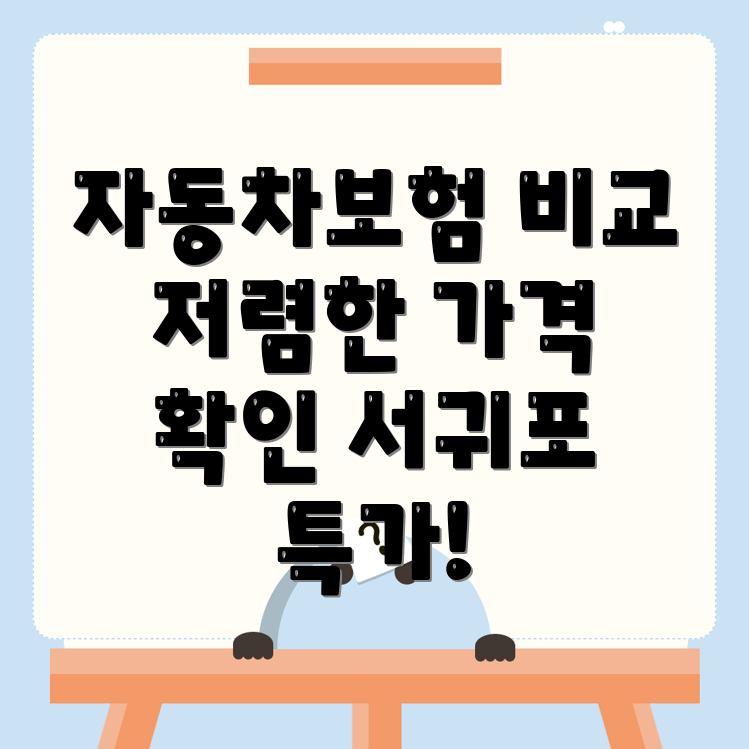 제주도 자동차보험