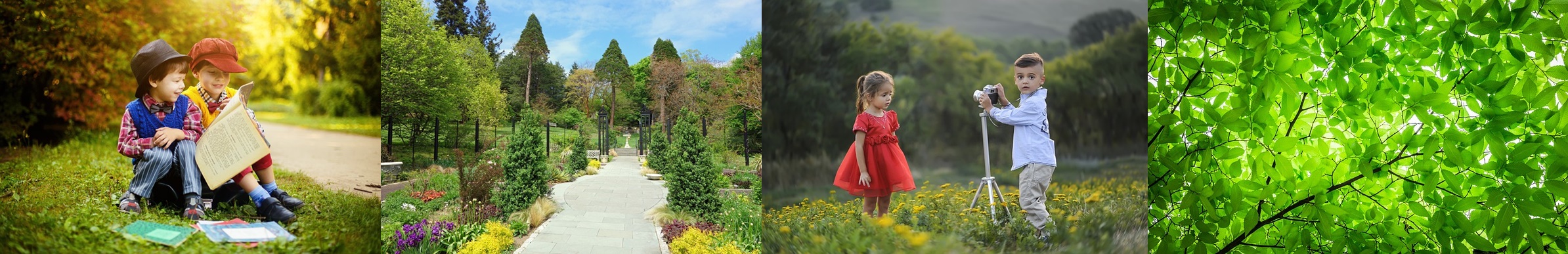 숲속-아이들-나무-사진