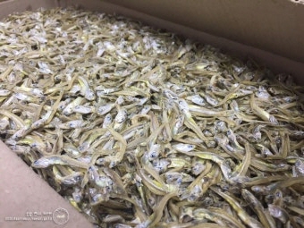 멸치 효능 부작용