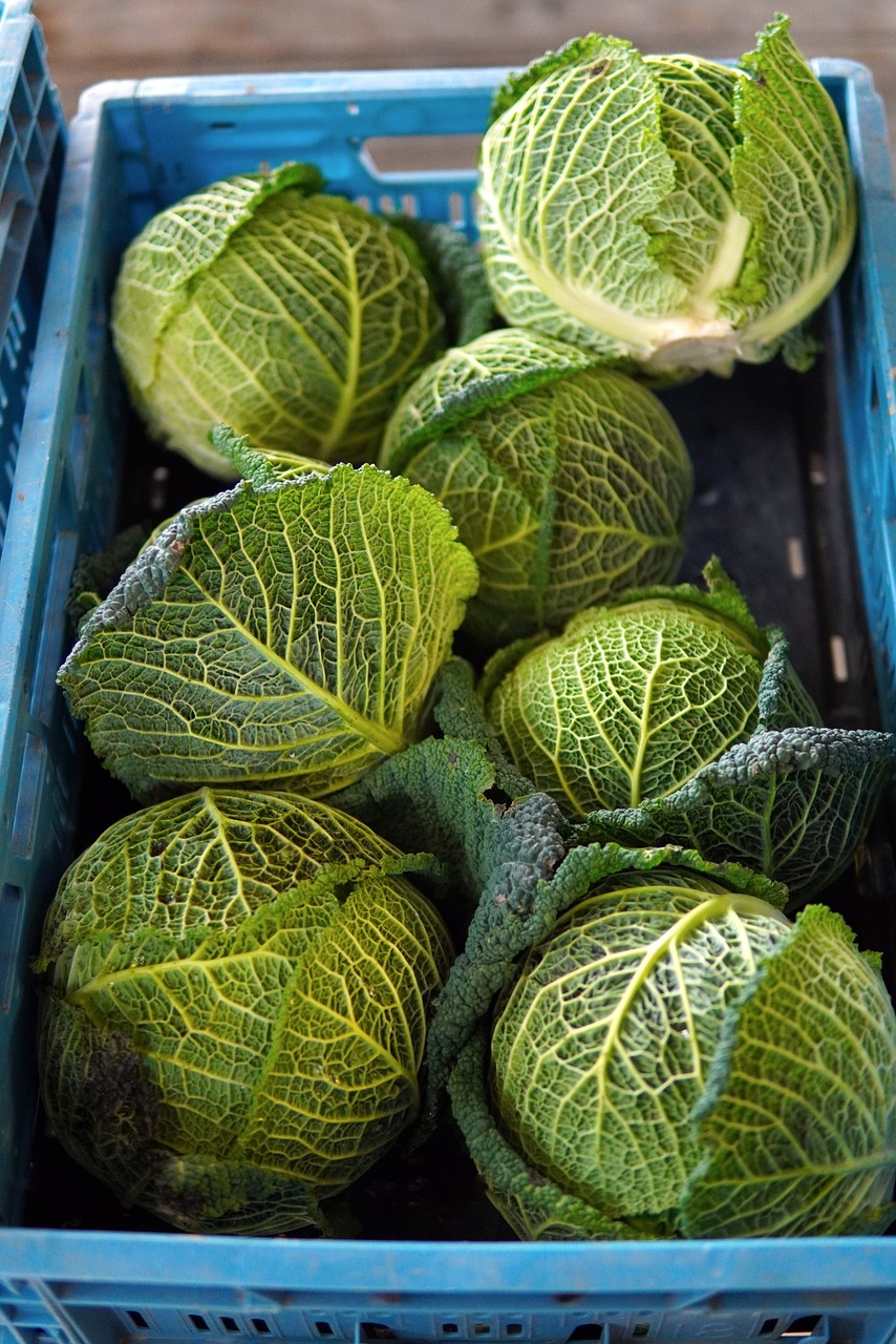 양곡관리법: 2025년 개정 논란과 향후 전망&amp;#44; 쟁점 총정리