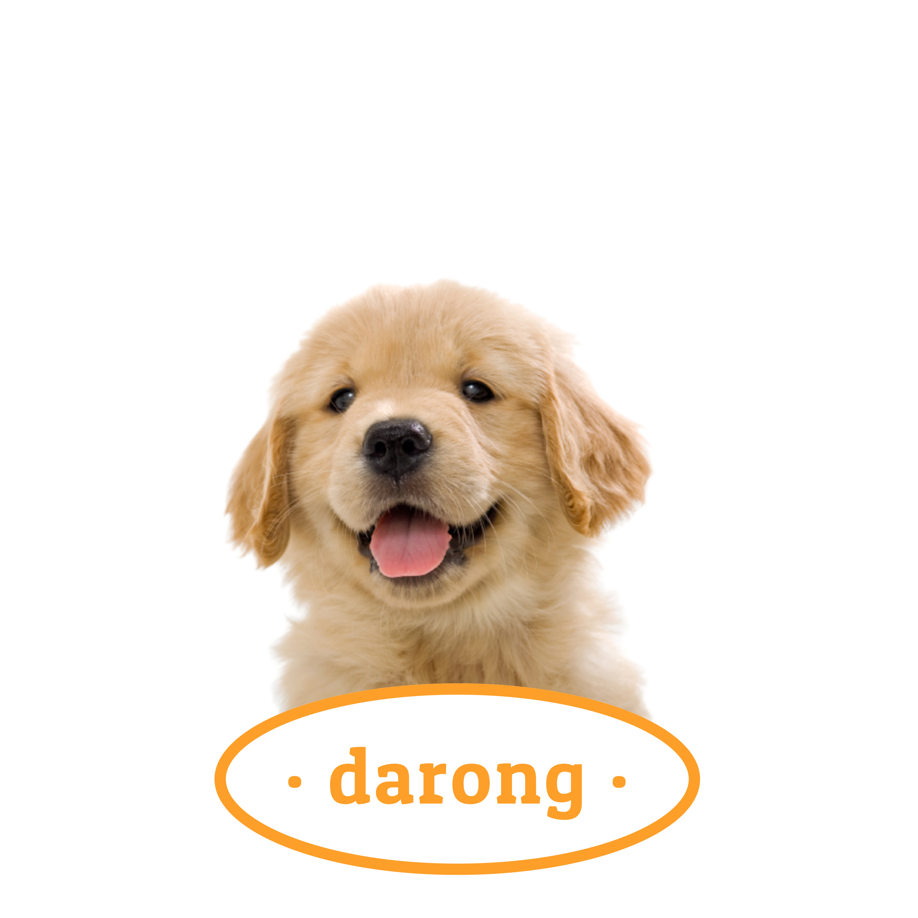 강아지 고양이 강형욱 복귀