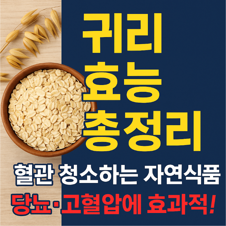 귀리 효능 총정리
