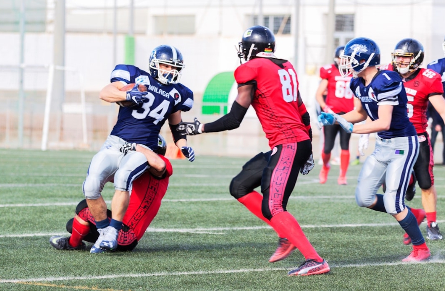 스포츠중계 유료화시대 비교분석