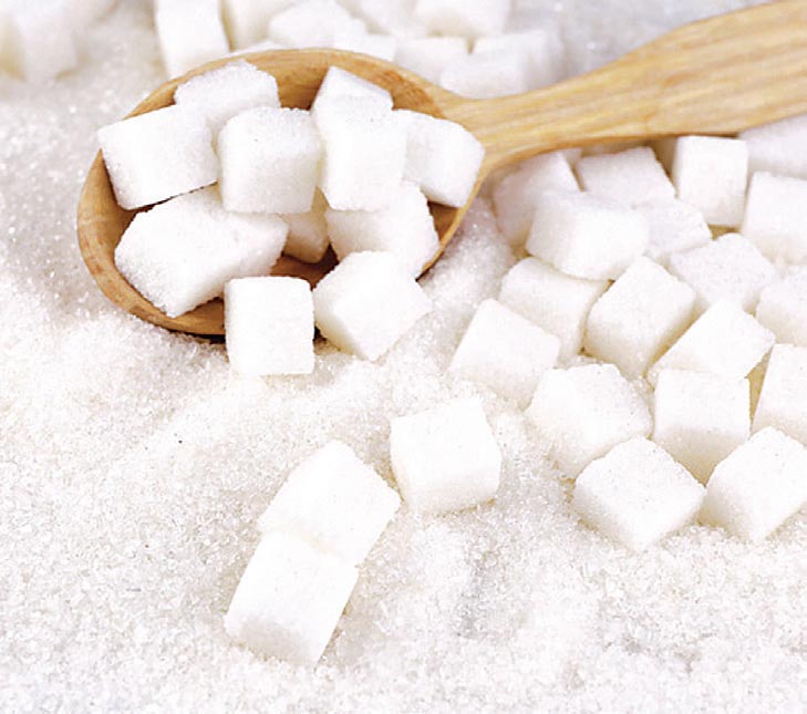 설탕 덩어리 다이어트 비만