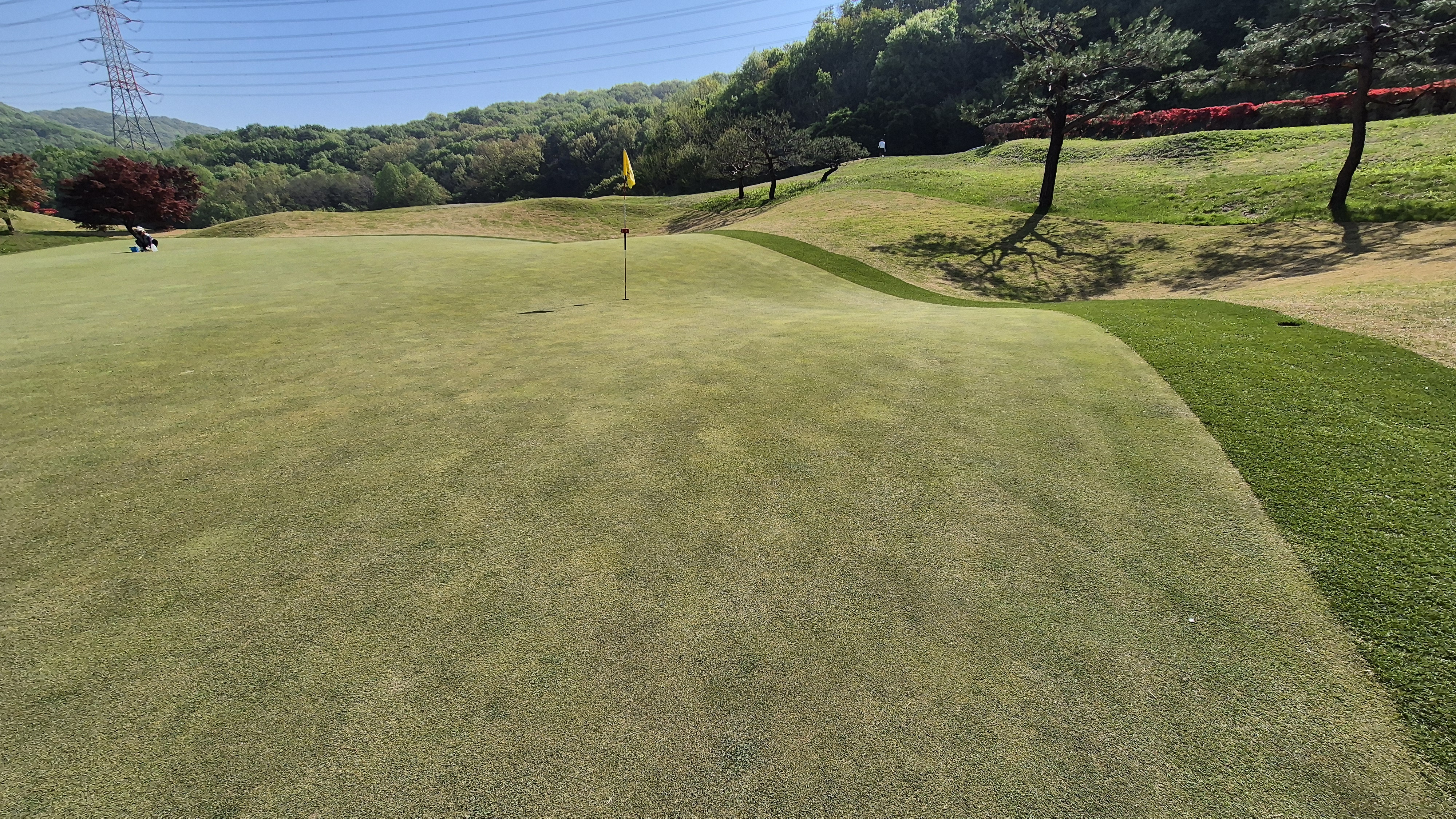 마에스트로cc 라운드 후기