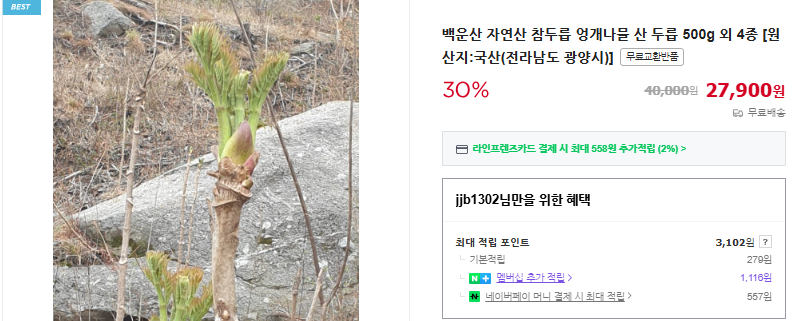 두릅 채취 시기 및 6가지 효능 (+ 요리 장아찌 만드는 법 보관법)