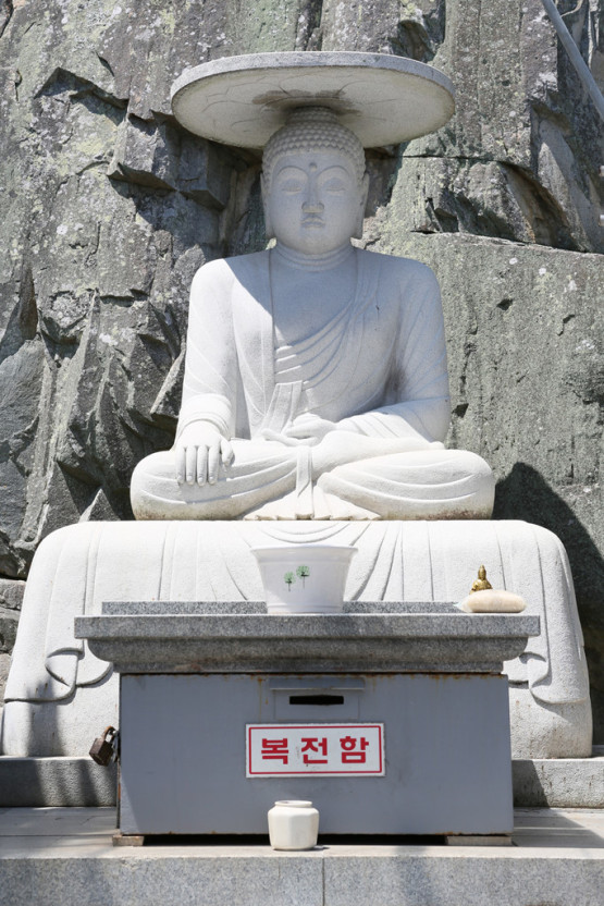 대체텍스트