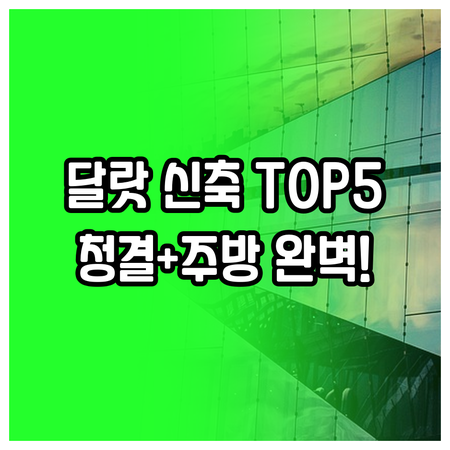 달랏 신축 호텔 아파트 숙소 5곳 청..