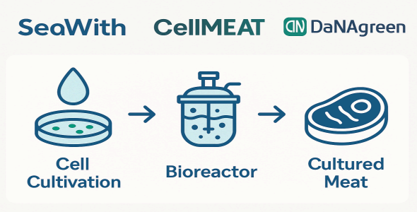 세포 기반 단백질 혁신으로서 한국 배양육 기술의 강점