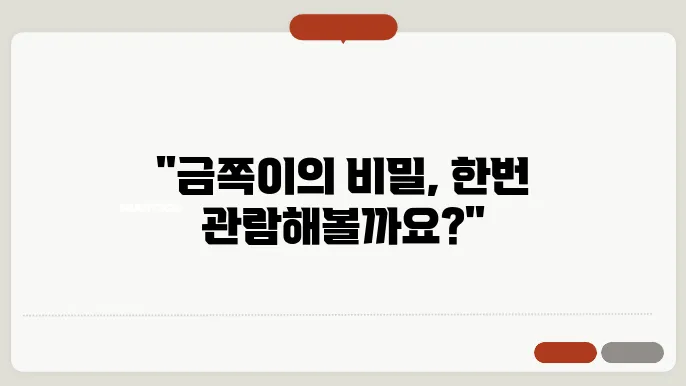 금쪽이 갤러리의 공간