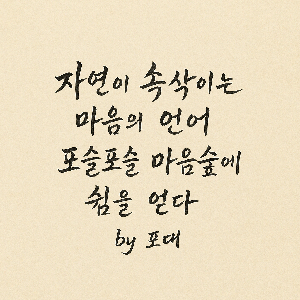 걷다보면 한 걸음씩 마음으로 돌아가는 길
